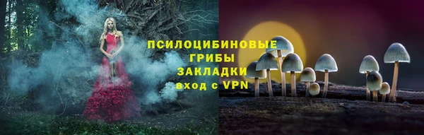 хмурый Краснослободск