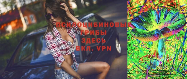 хмурый Краснослободск